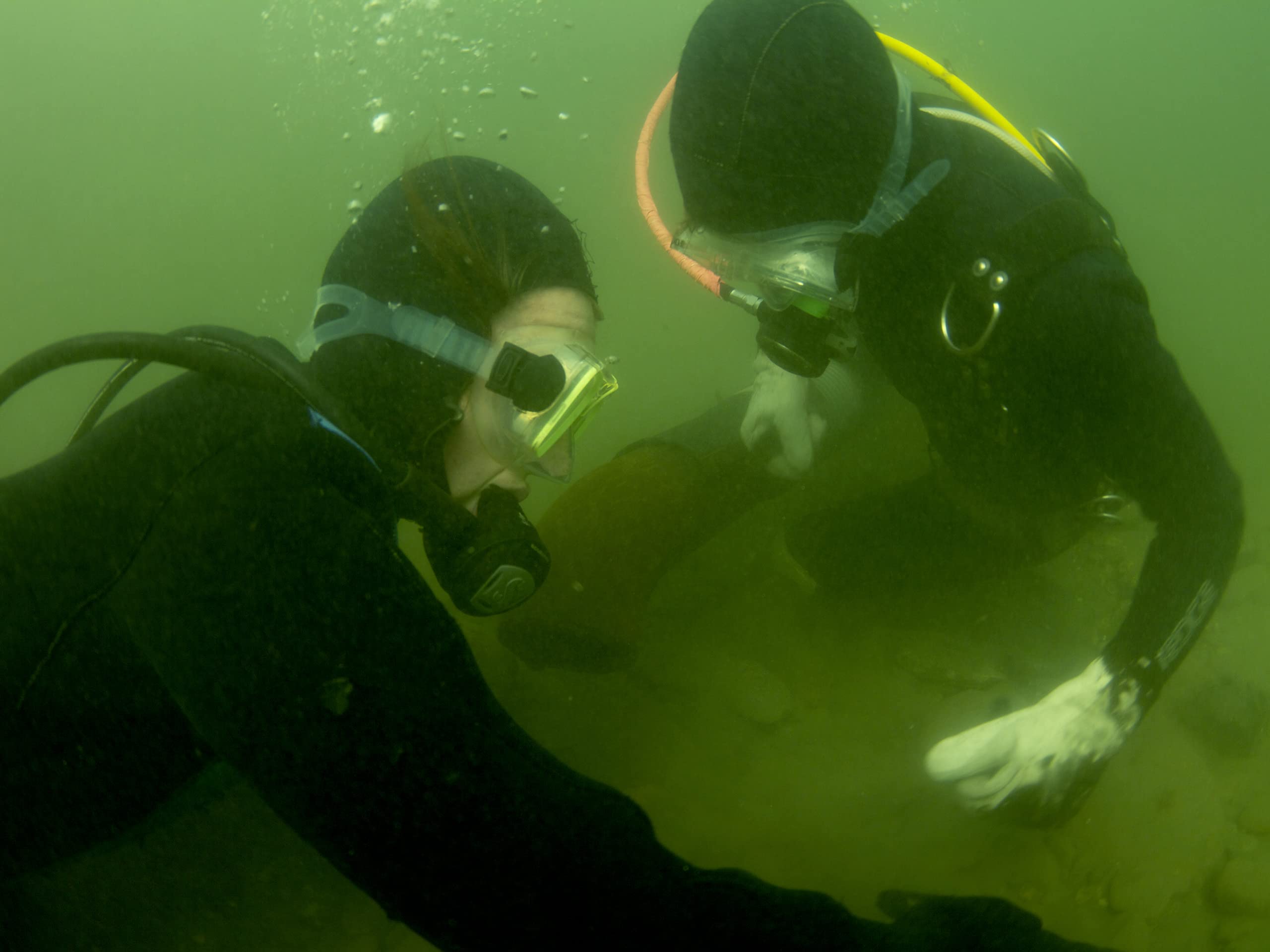 Watch Gold Divers Season 1 Prime Video