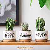 Buioata Nanny Gifts for Nana Succulent Plant Pots 3 Pack Ceramic Planters view 4