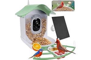 APRILMIN Smart Bird Feeder with Camera Solar Powered,AI Identify Species,2K HD Video Auto Capture Live for Outdoor Backyard,Ideal Gift for Family Bird Lovers (Green)
