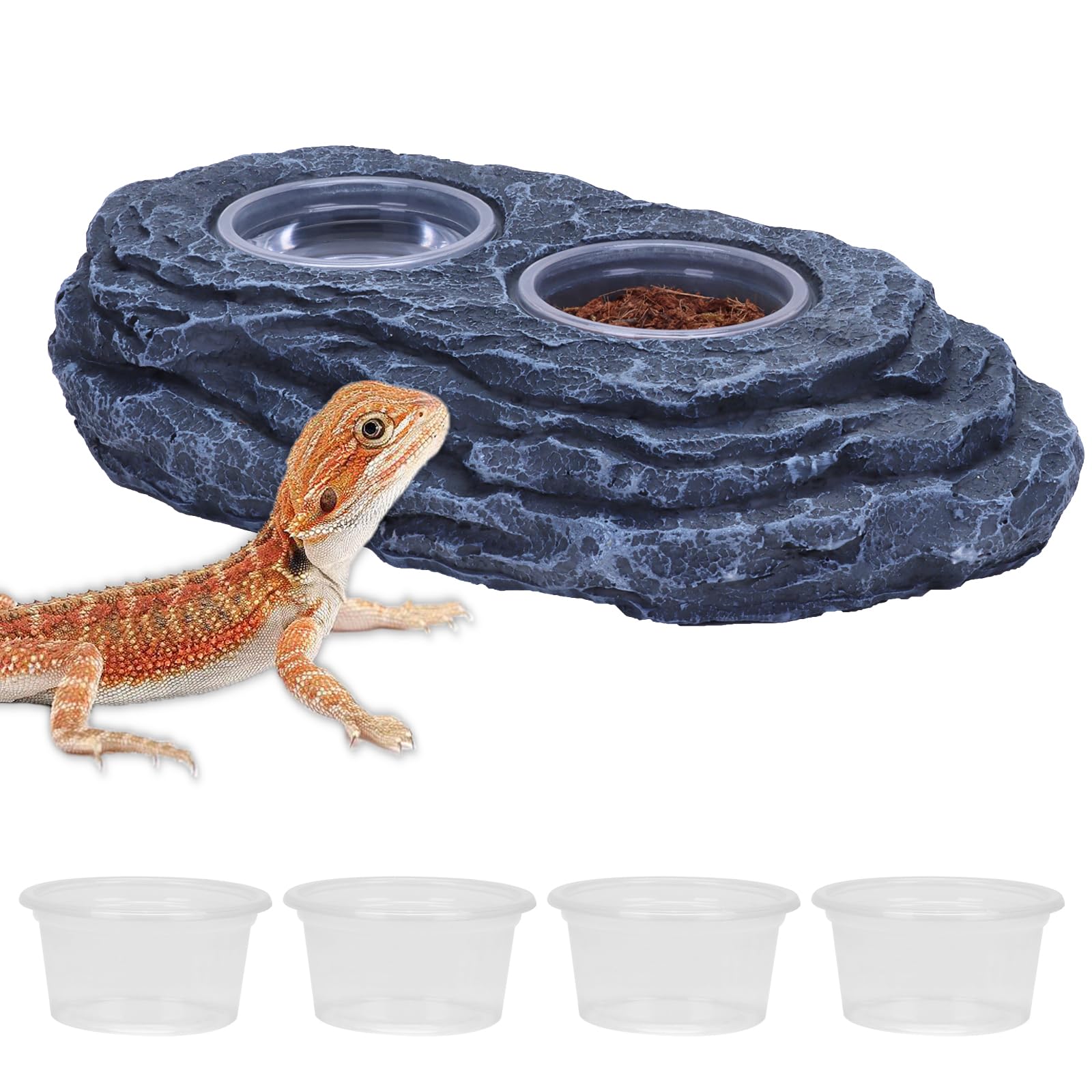 Photo 1 of AIICIOO Crested Gecko Feeding Ledge Strong Magnetic Pet Food Bowl and Water Dish with 6 Pack Plastic Reptile Food Cups for Frog Chameleon Tortoise Lizard Pets