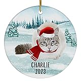 Santa Hat and Scarf Welcome Winter Seal Lynx
