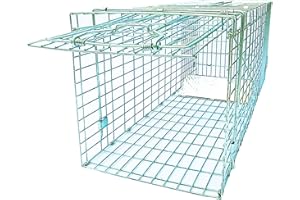 PNMNBW Large Folding Collapsible Humane Live Animal Cage Trap No-Kill Trapping Kit for Humane Catch Release Rabbits, Stray Cat, Squirrel, Raccoon, All Fit Sized Animals, Heavy Duty, 2-Doors 31"x11.5"x12.5"