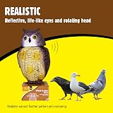 The Big Cheese Wind Action Owl Decoy Deterrent with Rotating Head view 4