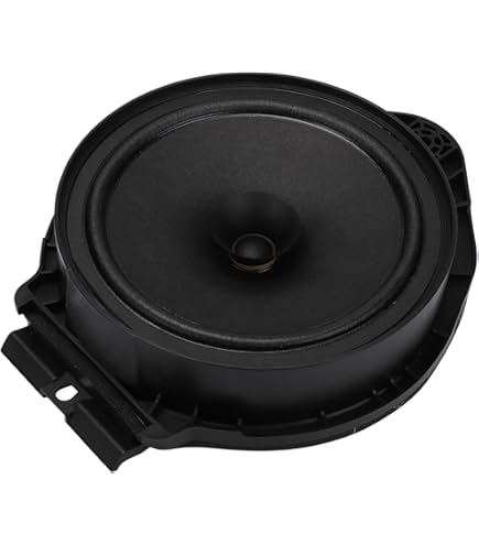 ACDelco GM Original Equipment 84019237 Radio Speaker : Buy Online At Best Price In KSA - Souq Is Now