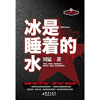 冰是睡着的水 (Chinese Edition) book cover