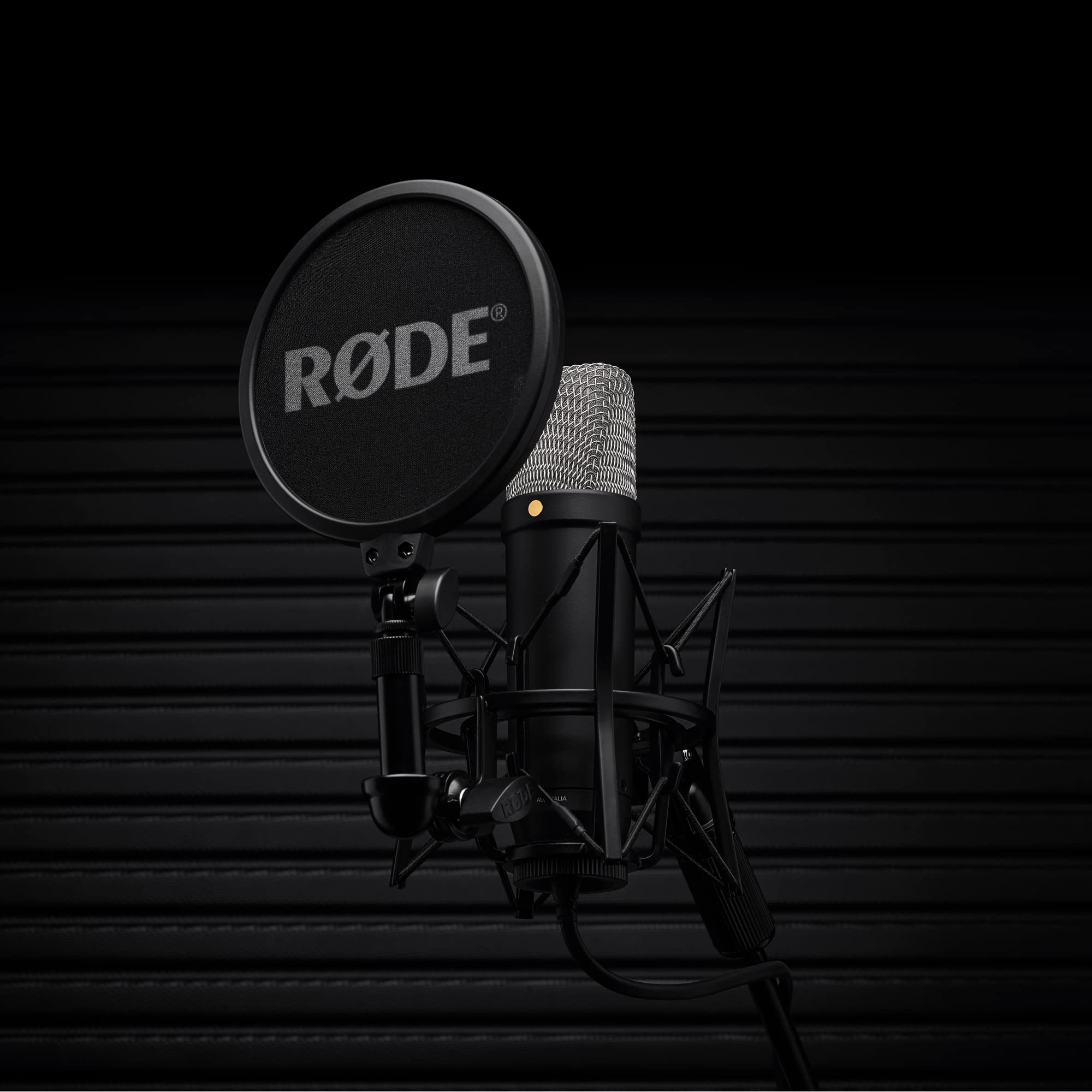 RØDE NT1 5th Generation Large-diaphragm Studio Condenser Microphone with XLR and USB Outputs, Shock Mount and Pop Filter for Music Production, Vocal Recording and Podcasting (Black)