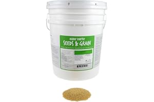 Handy Pantry Organic Hulled Millet Seeds 35 lb – Non-GMO Grain for Grinding into Flour, Making Beer, Bird Seed & Survival Storage