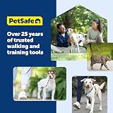 PetSafe Come With Me Kitty Harness and Bungee Leash Large Dusty Rose Burgundy view 8