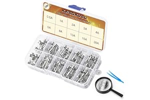 XJlSGXUSG 100pcs Fast-Blow Glass Fuses Assortment Kit 5x20mm 125V, Multiple Ratings (0.5A-20A) - Ideal for Electronics, Christmas Lights- Essential for Electricians, DIYers