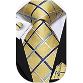 Dubulle Ties for Men Silk Mens Paisley Floral Striped Necktie and Handkerchief Cufflinks Wedding