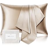 100% Pure Mulberry Silk Pillow Cases,Allergen Resistant Dual Sides,600 Thread Count Silk Pillowcase for Hair and Skin with Hidden Zipper,Gifts for Women,1pc,Queen Size,Taupe