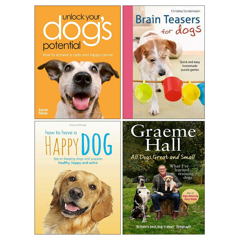brain teasers for dogs