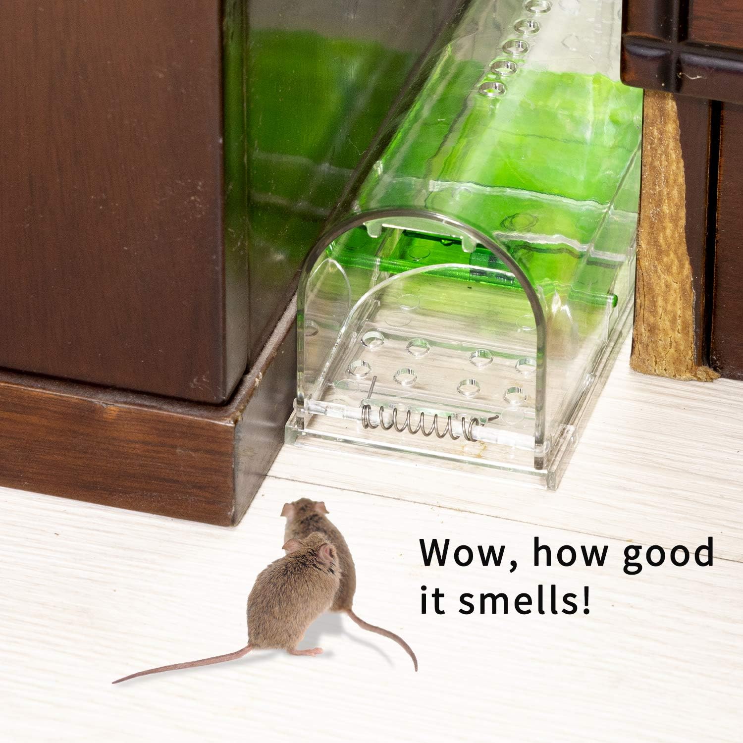 Thanos Smart Mouse Trap No Kill Mousetraps Live Catch That Works Safe for Home : Garden & Outdoor