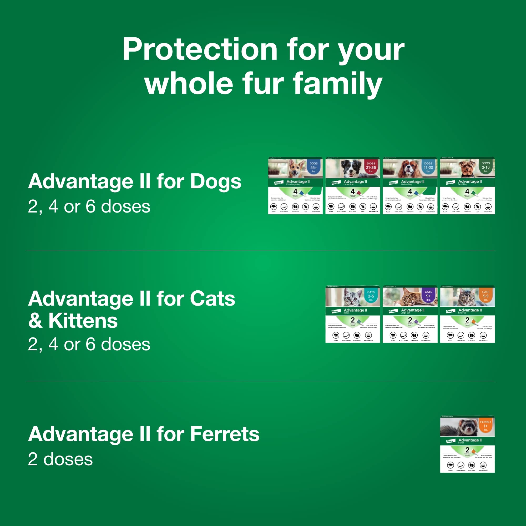 Advantage II Small Cat Flea Treatment & Prevention Cats 59 lbs. 8Month