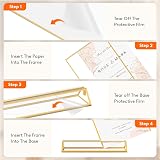 Lifewit 6 Pack A5 Acrylic Sign Holder with Gold Borders Vertical Double-Sided view 8