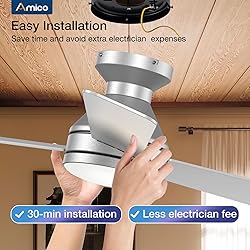 Amico Ceiling Fans with Lights, 42 inch Low Profile
