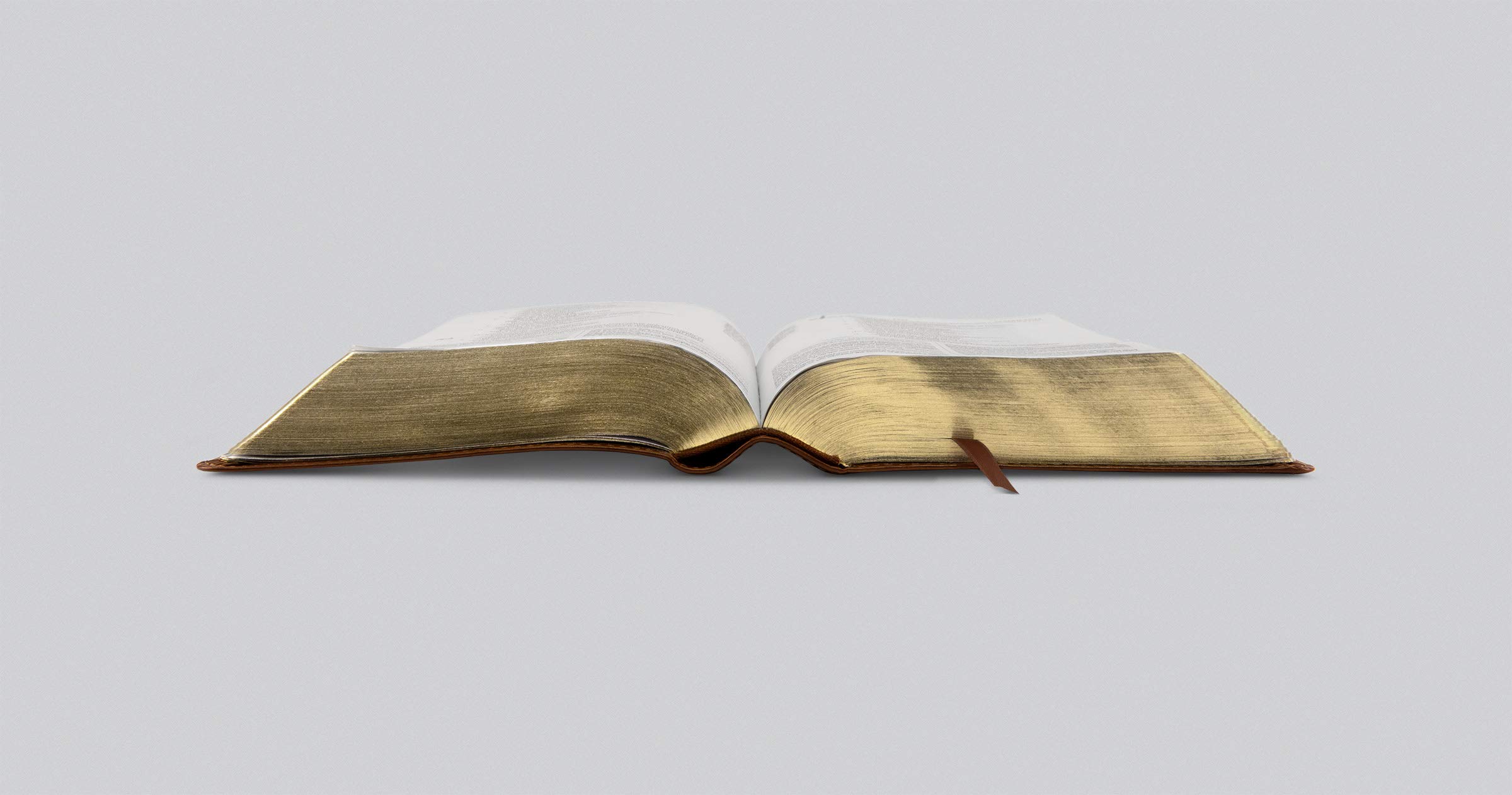 ESV Study Bible, Personal Size (TruTone, Saddle, Ornament Design) ESV Study Bible, Personal Size (TruTone, Saddle, Ornament Design) ESV Study Bible, Personal Size (TruTone, Saddle, Ornament Design) Imitation Leather