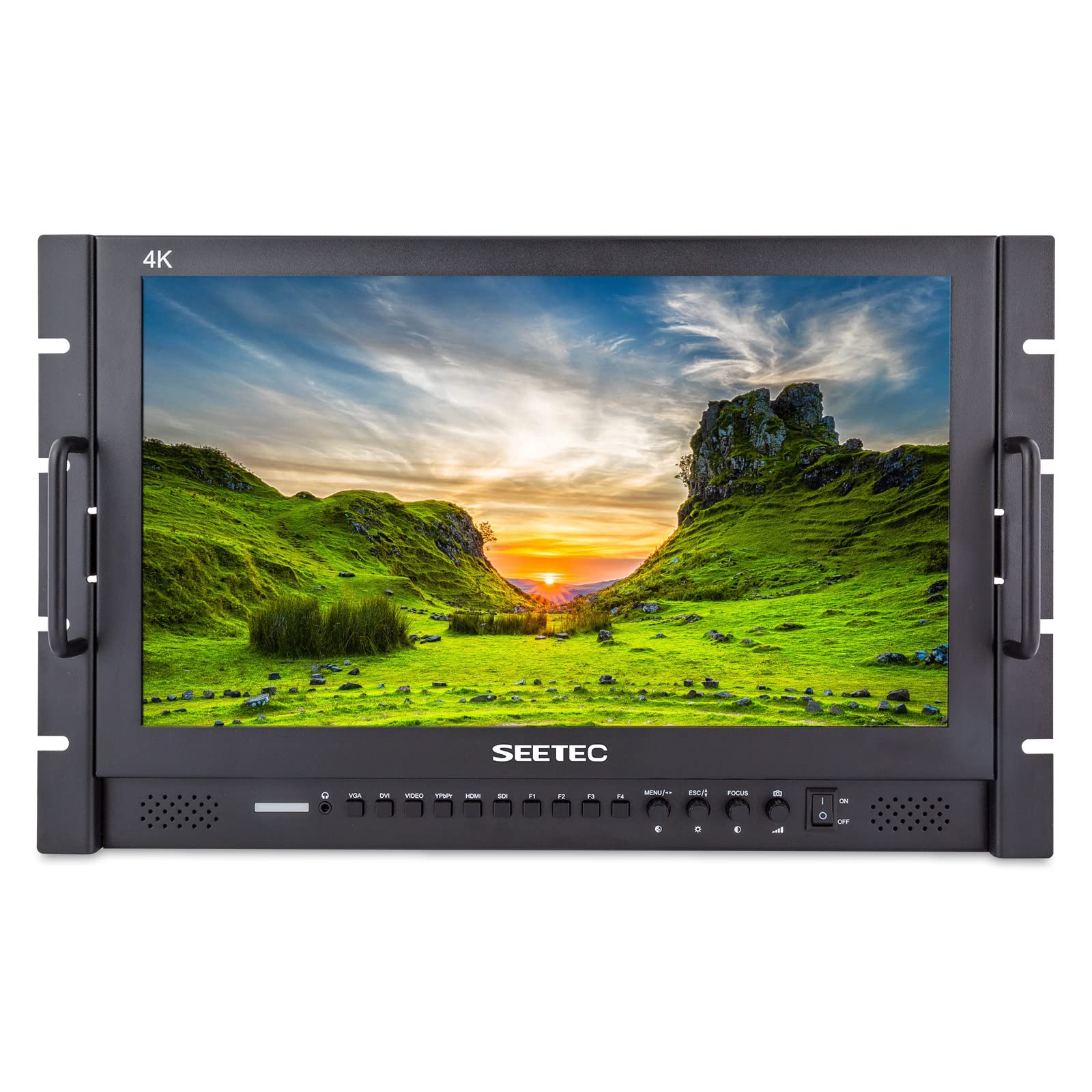 SEETEC P173-9HSD-RM 17.3