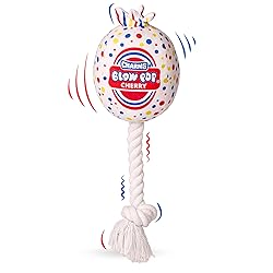 Blow Pop Plush & Rope Dog Toy – Scented Squeaky