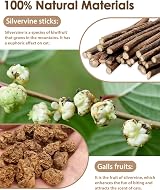 Nepfaivy Cat Toys Silvervine Sticks 12PCS Indoor Dental Chew Toy view 2