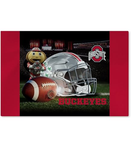 FANMATS Unisex's 17535 Ohio State University - Tappeto 221 x