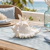 Natural Conch Shell, Real Large Conch Shell, Sea Shells for Vase Filler, Outdoor Shells, Air Plants, Beach Theme, Nautical Home Decor, Wedding Decor, Beach Theme Party, Aquarium Decoration 6-7''