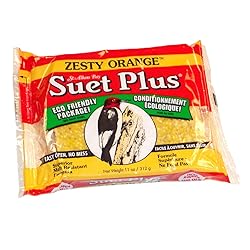 Suet Plus Zesty Orange Suet 12 Pack