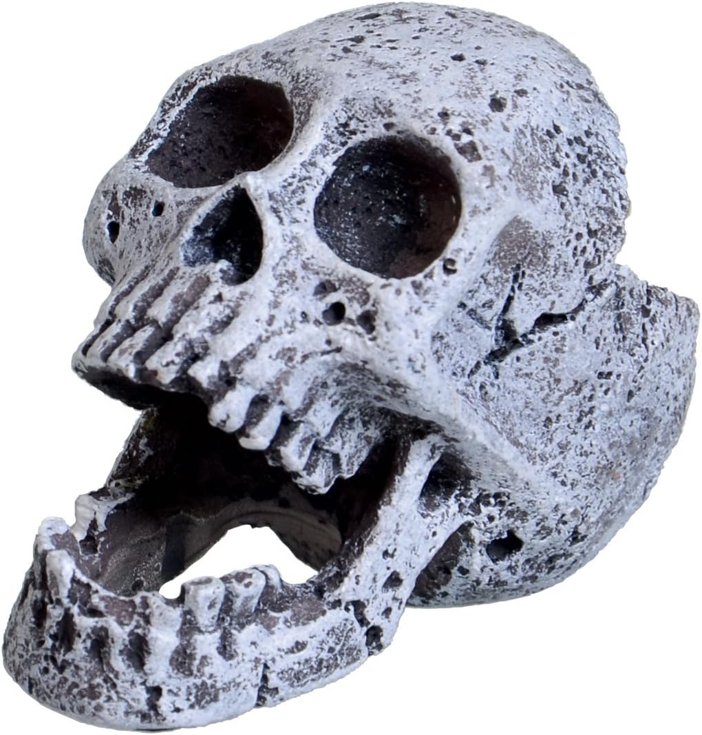 underwater treasures aquarium decorations website