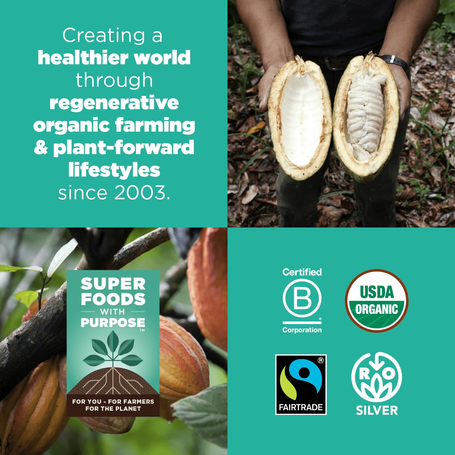 Navitas Organics Cacao Powder - Cocoa Powder Substitute 1:1, For Hot Chocolate, Baking & More - Regenerative Organic Certified, Non GMO, Fairtrade, Gluten Free, Non-alkalized (16oz. Bag, 76 Servings)