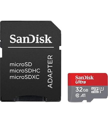 Amazon.com: Professional Ultra SanDisk 32GB MicroSDHC Card works