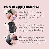 Itch Cat Flea and Wormer Bundle 1kg+ 3 Flea Pipettes 2 Worming Tablets view 3