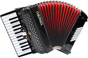 YINGWU Accordion - 26 Key 48 Bass Piano Accordion for Beginners & Professionals, Adult Student Musical Instrument with Backpack & Shoulder Strap (Black)