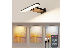 KOOPALA LED Picture Lights with 6000mAH Rechargeable Battery Powered, CRI≥95 Cordless Over Painting Wall Mounted Lamps with 5 Brightness&Stepless Dimming,3 Color Temp,Display Lights for Art Photo Dartboard
