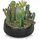 DILATATA Artificial Cactus Plants in Pot 5.5 Inch Fake Succulents Arrangement Potted Plant in Black Ceramic Planter Bowl for Home Office Desk Shelf Living Room Bedroom Bathroom Decor