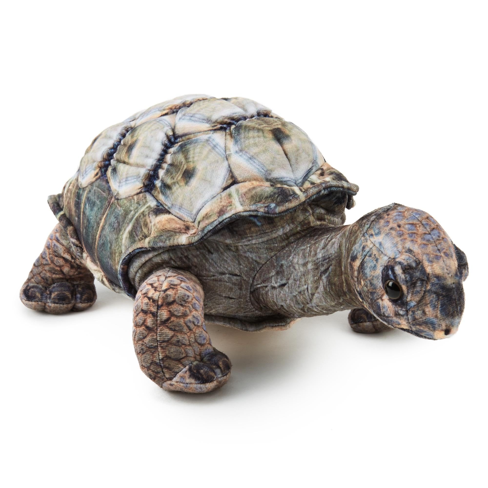 Zappi Co Aldabra Tortoise 31 cm Plush Toy Realistic Soft Cuddly Animal, Lifelike Detail, Perfect for Playtime & Collectors, (31cm Length) — image 1