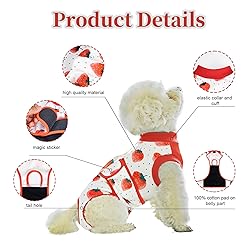 V.PET.B.R Dog Surgery Recovery Suit,Female Male Dog