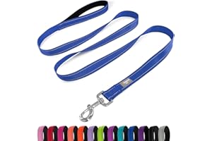 PenSeepet Dog Leash 6 FT Padded Handle Nylon Reflective Dogs Leashes for Large Dogs Blue