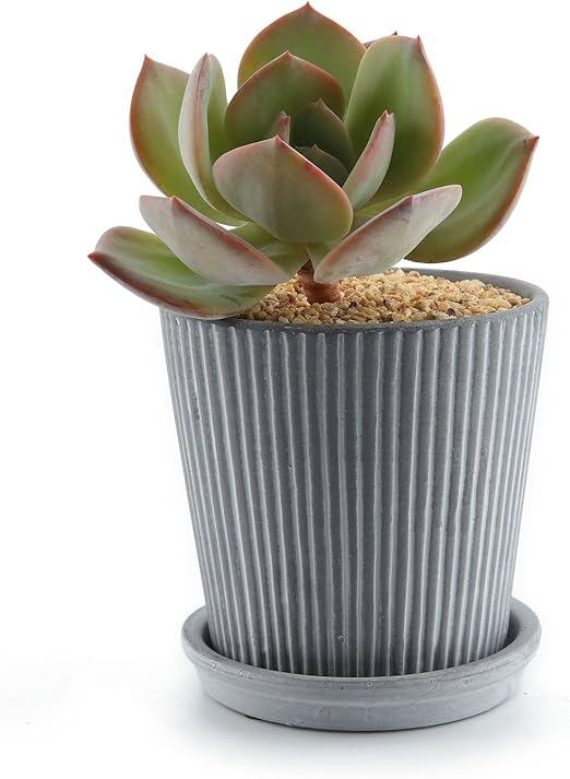 Comsaf Planta Maceta De Suculento Con Bandeja Redonda 11cm Ceramico Linea Moderna Cactus Maceteros De Ventana Cajas Decoracion Para Mesa De Comedor Regalo Para Cumpleanos Boda Navidad Decoracion Del Hogar Hogar Y