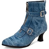 Women's Kitten Heel Ankle Booties,Fashion Metal Buckle Pointed Toe Zippers High Heel Booties Fur Lining Autumn Winter Dress Working Party Western Cowboy Short Boots