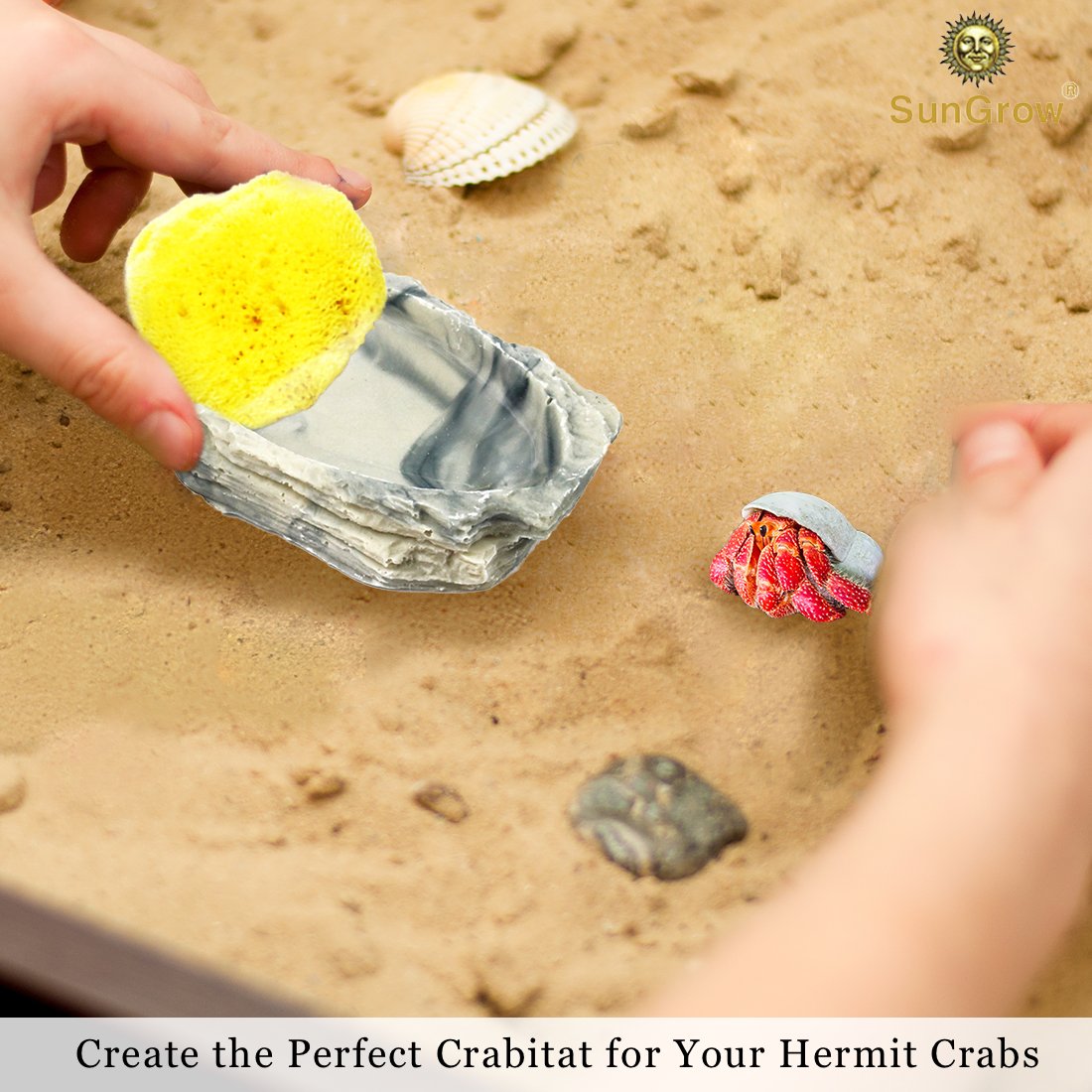 4-Pack Sea Sponges for Hermit Crabs --- Moisture Cocoon that keeps crabs Moist and Hydrated - Prevents Accidental Drowning and Suffocation - 100% All Natural and Safe