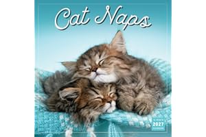 Cat Naps