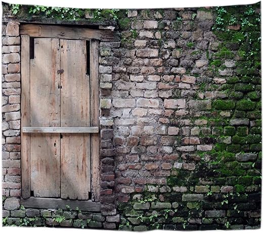 Download Strand fenster wandkunst For iPhone Free