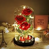 Beauty and The Beast Rose, Classic Red Rose with LED Lights and Falling Petals, Gifts for Women, Birthday Gifts for Women, Light Up Rose in Glass Dome, Valentine's Day Gifts for her