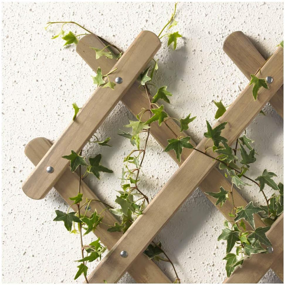 IKEA ASIA ASKHOLMEN - Enrejado, Color Gris y marrón: Amazon.es: Jardín