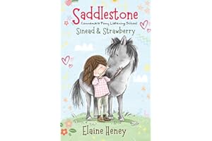 Saddlestone Connemara Pony Listening School | Sinead and Strawberry