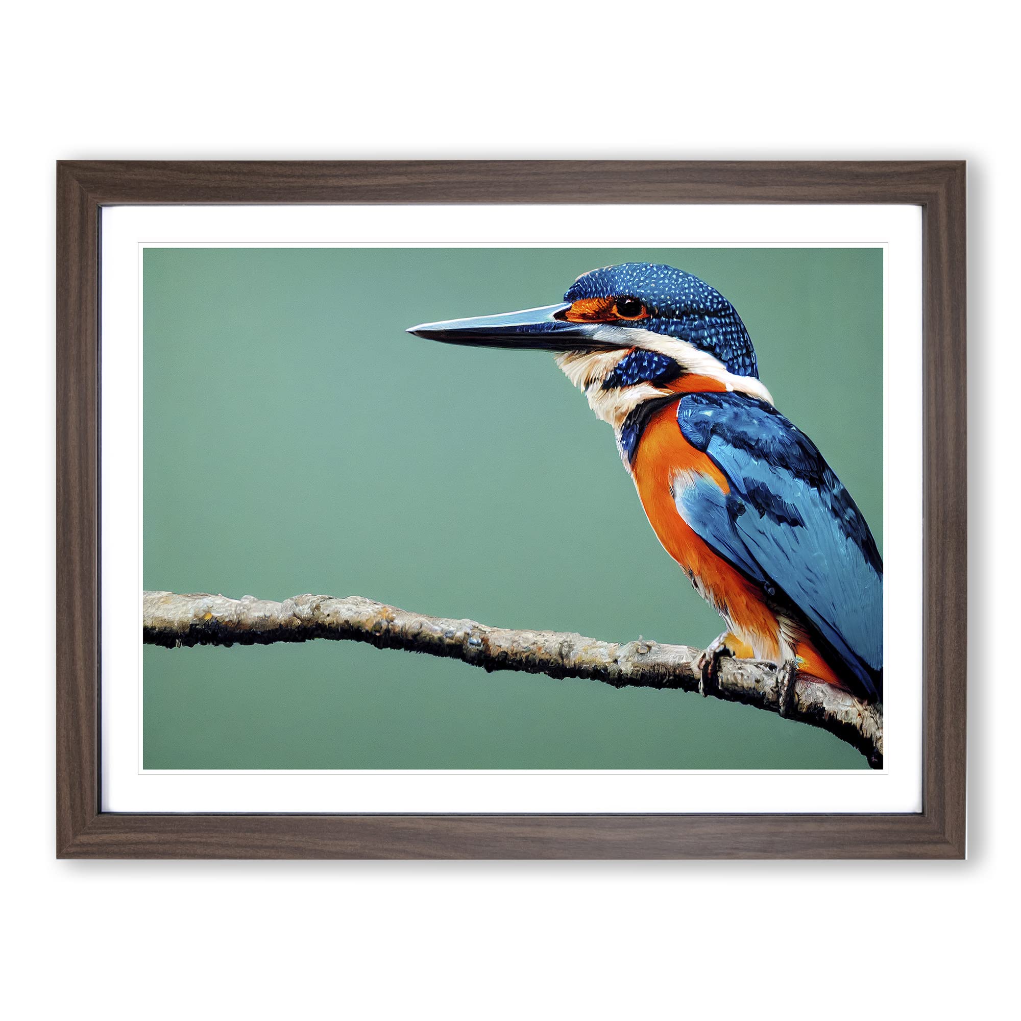 Head Turning Kingfisher Bird Framed Print | A4 Walnut Framed Wall Art | Ready to Hang | Modern Nature Picture | Living Room Bedroom Lounge Office