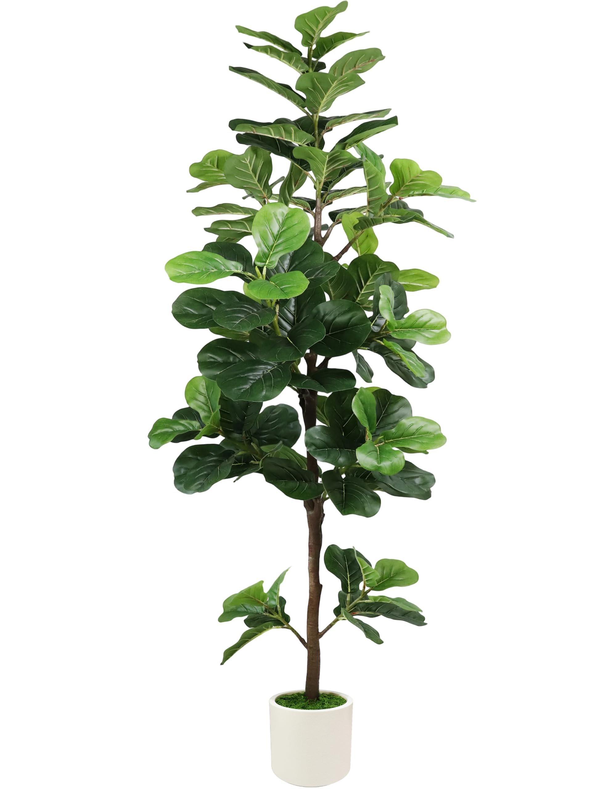 Photo 1 of 6FT Artificial Fiddle Leaf Fig Tree with White Planter & Fake Moss, Realistic Faux Ficus Lyrata Floor Plant for Indoor Home Office Decor, Housewarming Gift