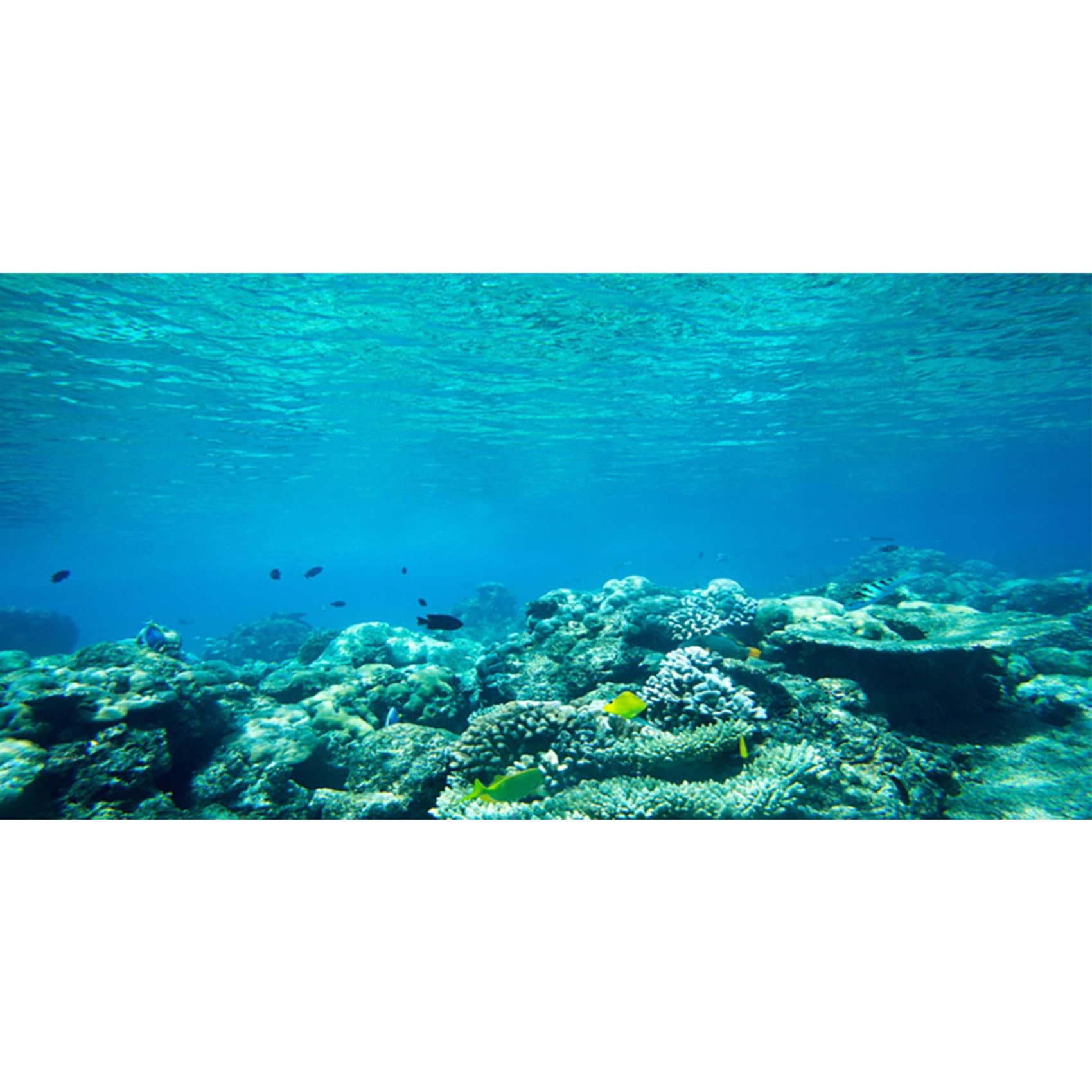 MIRRORANG 180x46cm Aquarium Background Aquatic Plant River Fish Tank Poster Backdrop Vinyl — image 1