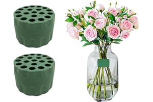 JAENDE 2PCS Spiral Stem Holder for Flowers, DIY Wedding Bouquet Kit Spiral Ikebana Stem Holder for Flowers, Bouquet Twister Ikebana Tools Flower Bouquet Supplies, Spiral Stem Holder Ring for Vases(Green)
