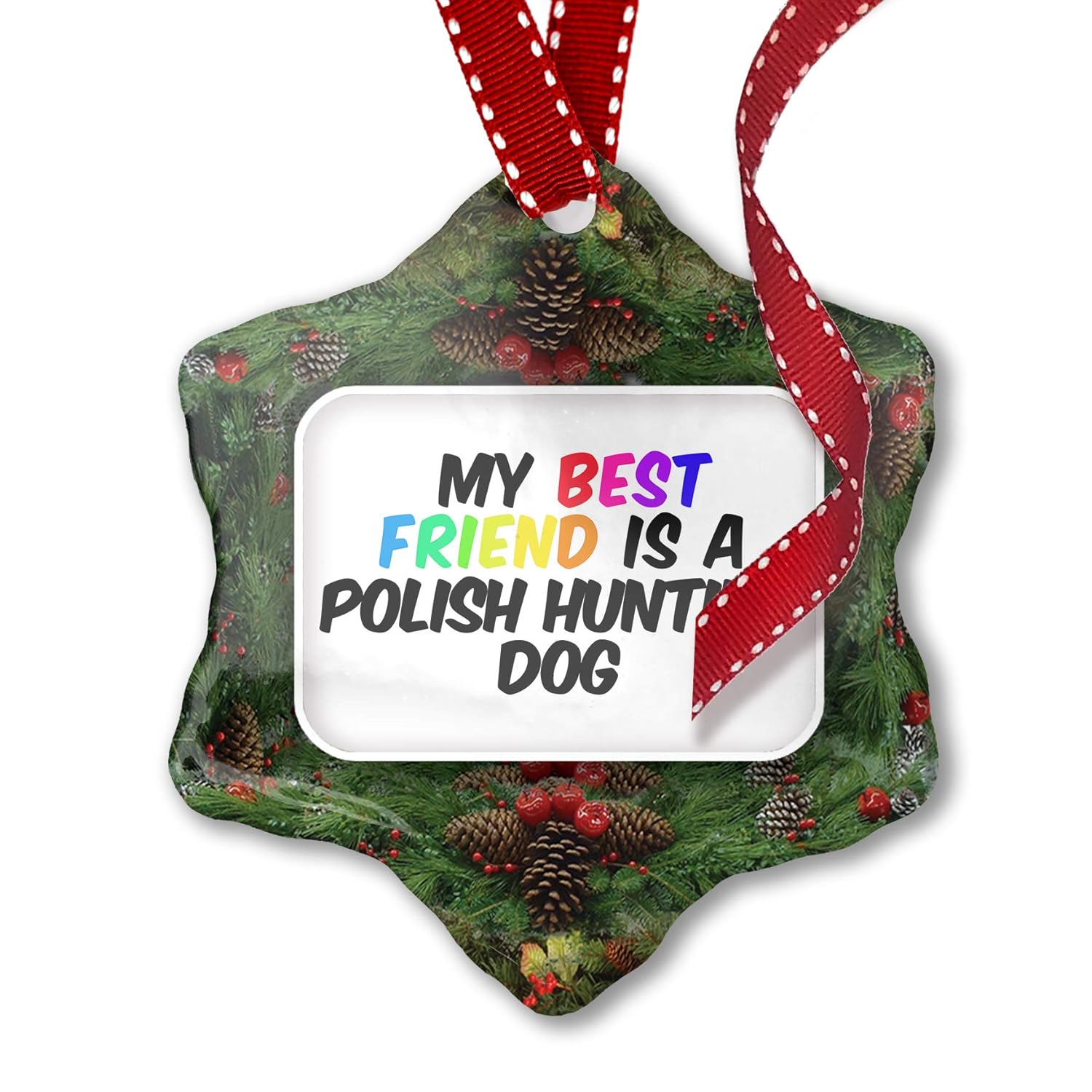 Amazon Com Neonblond Christmas Ornament My Best Friend A Polish